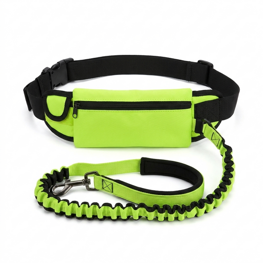 Hands free dog leash and waist belt on a white background