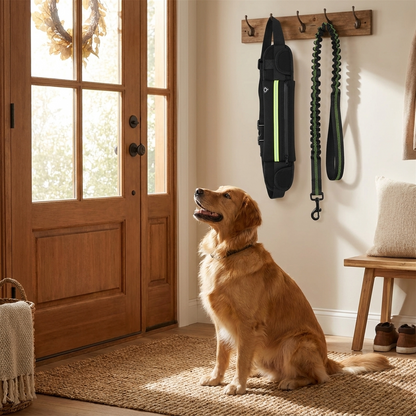 Belt and leash hanging by the front door with a dog waiting