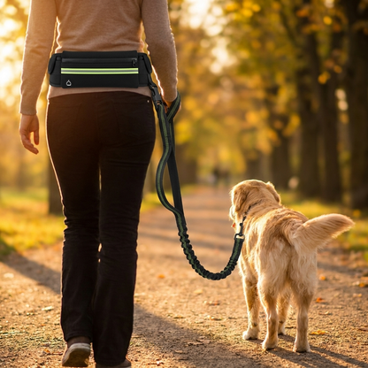 Walking a golden retriever hands free on a park path at golden hour