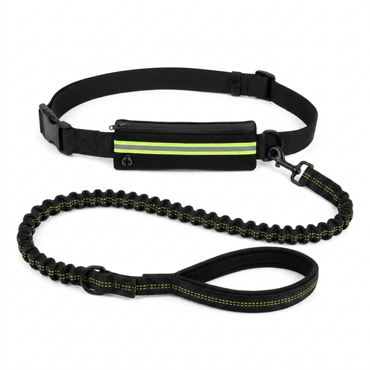 Roamly black hands free waist belt and black bungee dog leash with reflective trim