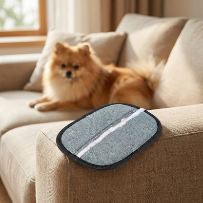 Sheddo grooming mitt resting on a sofa arm with a dog nearby
