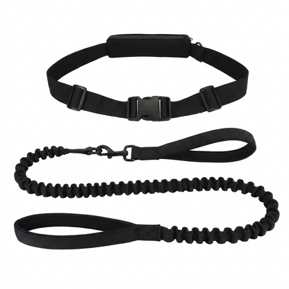 Roamly hands free leash and belt in Black